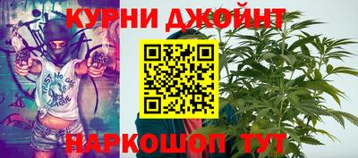 эйфоретик Кингисепп