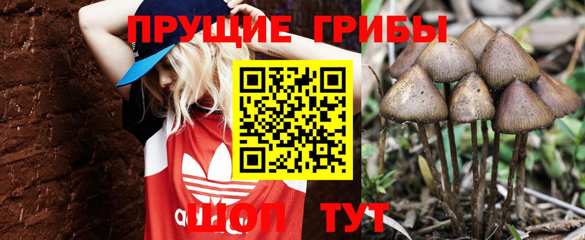 Псилоцибиновые грибы прущие грибы Королёв