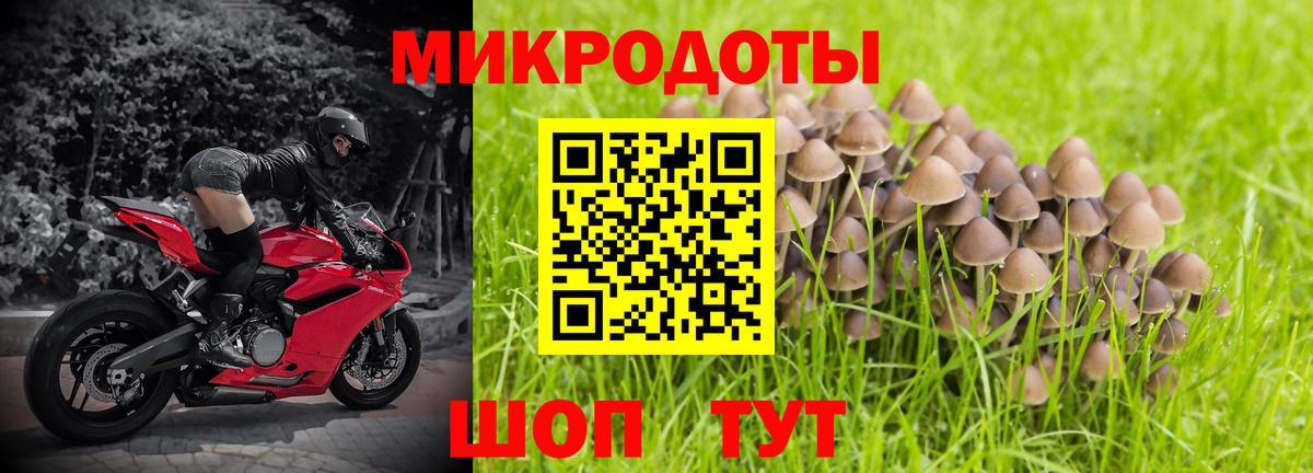 Королёв  Псилоцибиновые грибы MAGIC MUSHROOMS  Вход с VPN 