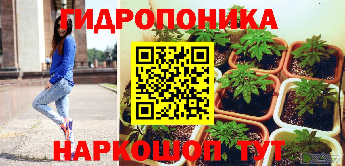 Марихуана ГИДРОПОН  Марихуана планчик  Канабис тримм  Королёв  Вход с VPN 